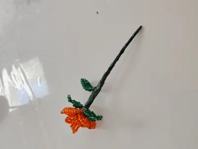 Orange minirose