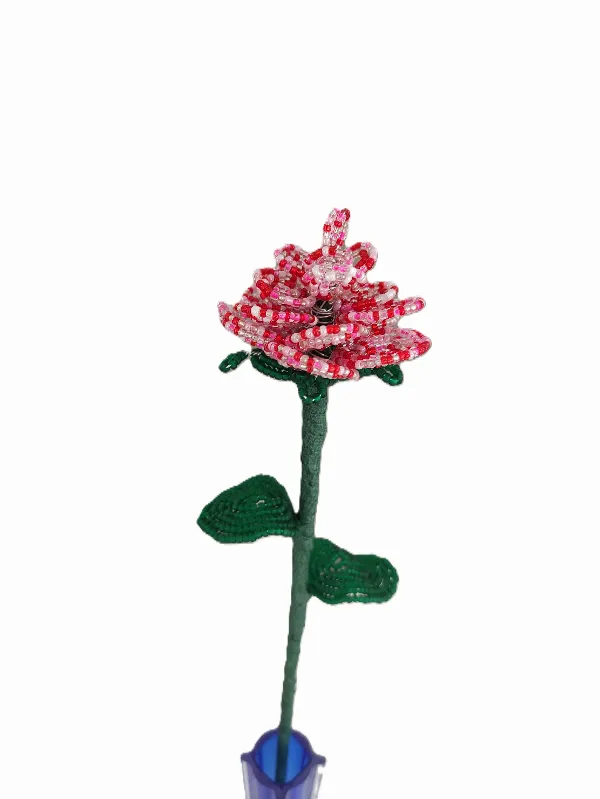 Valentinsdags rose