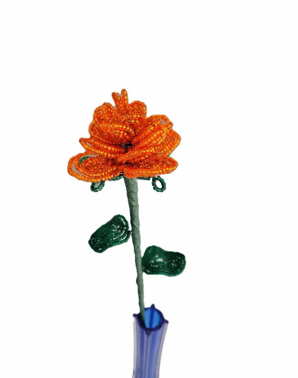 Orange rose